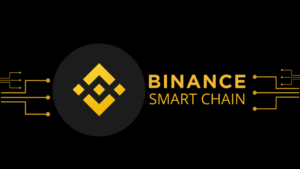 Binance Smart Chain Bsc Top Coin 2021 2022